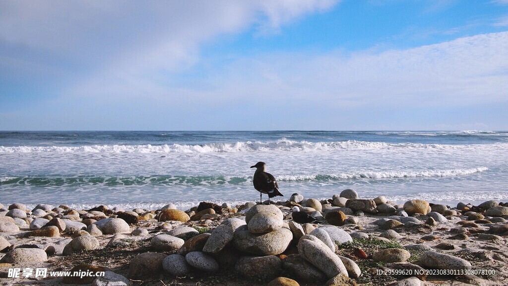 大海