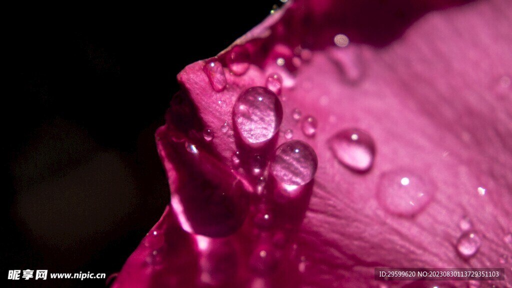 水珠