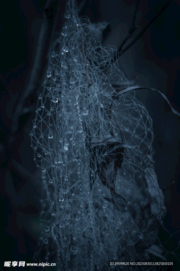 水珠