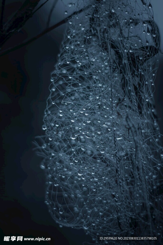 水珠