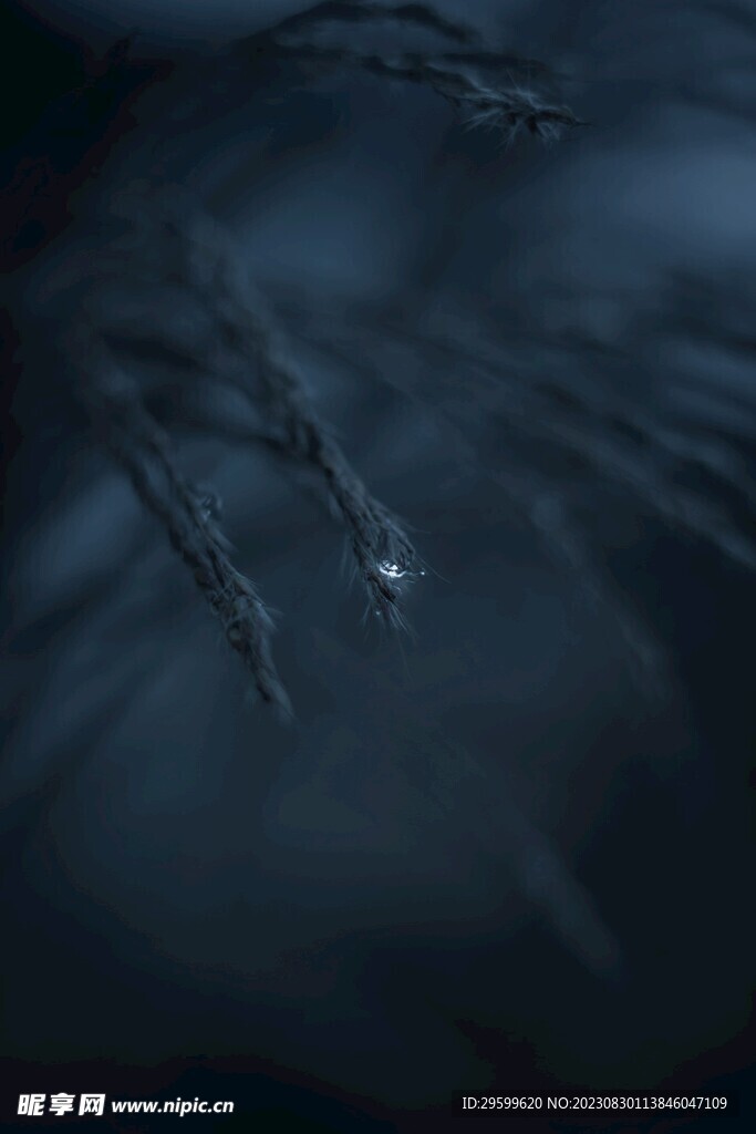水珠