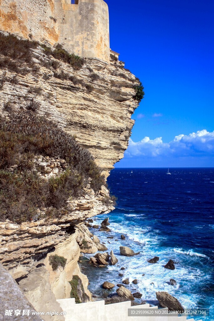 大海