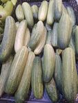 黄瓜 