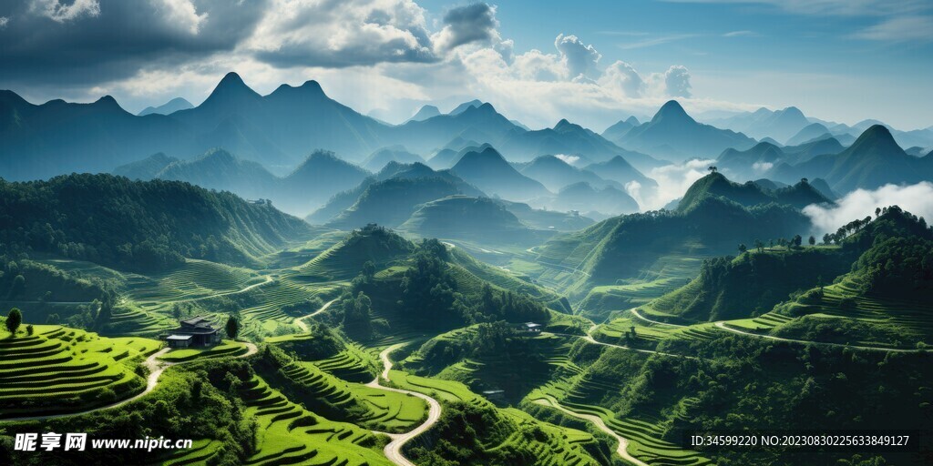 梯田