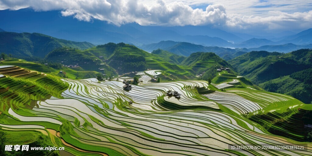 梯田