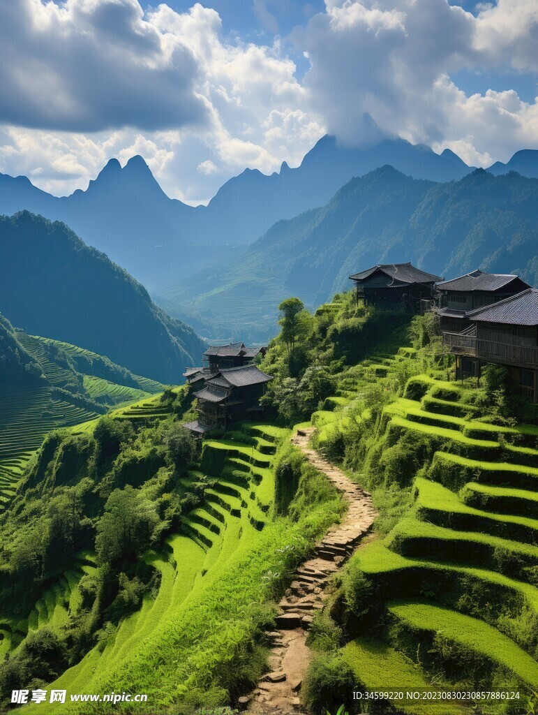 梯田