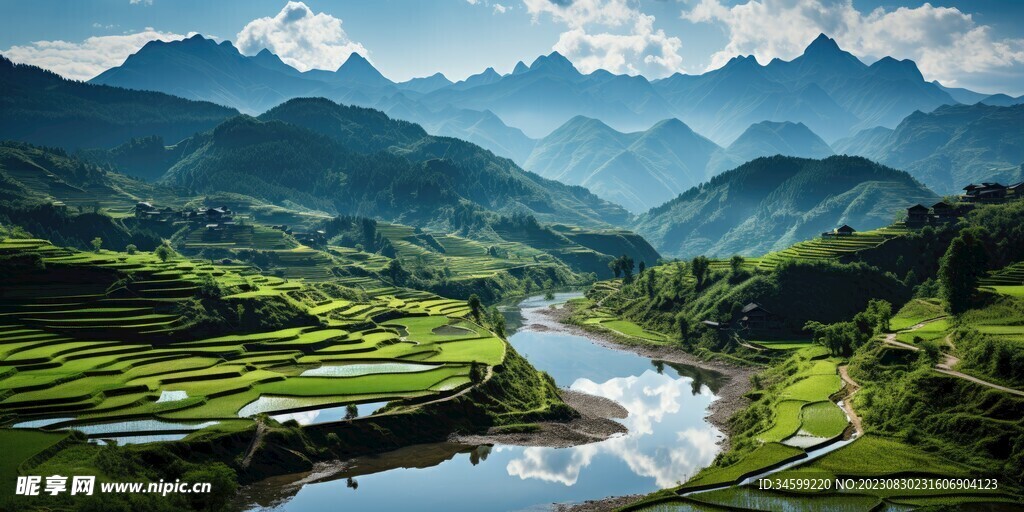 梯田