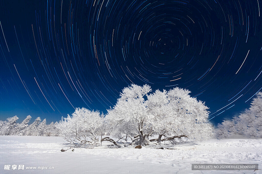 雪景