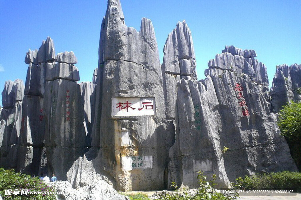 后林