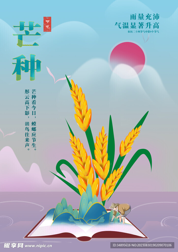 芒种海报