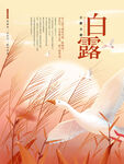 白露节气海报
