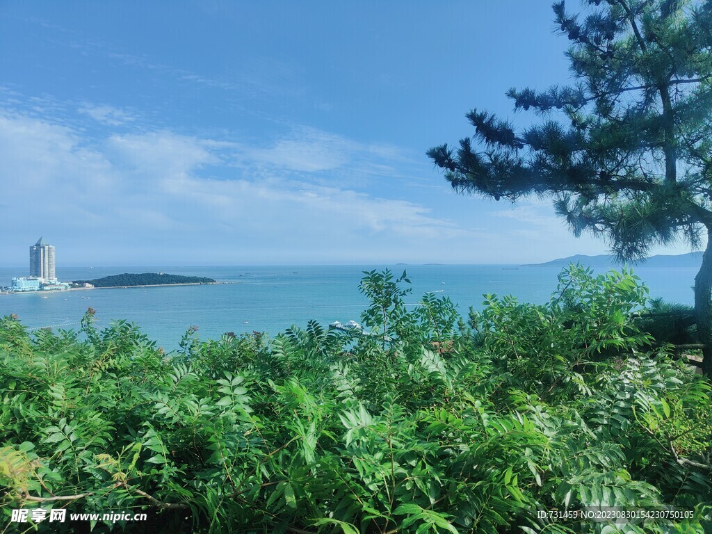 青岛海景