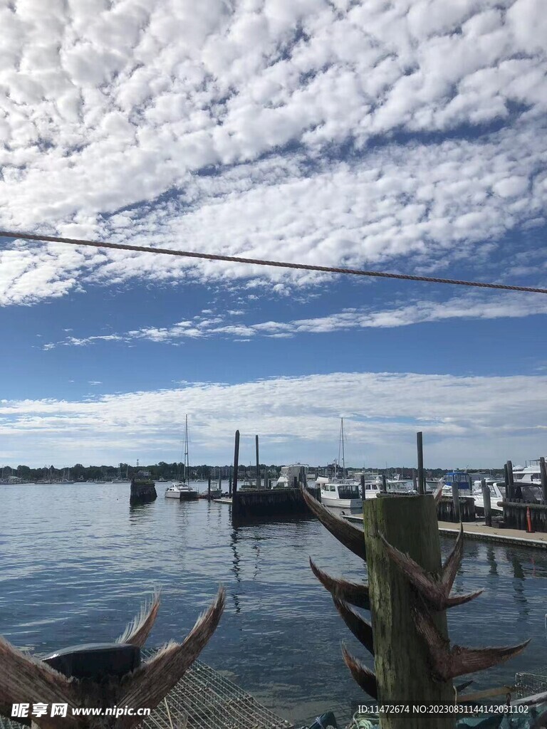 海岸