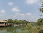 湿地公园河道景观