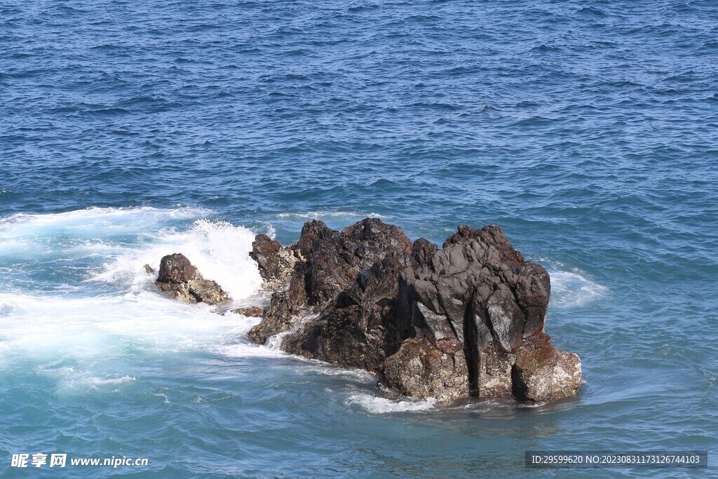 大海