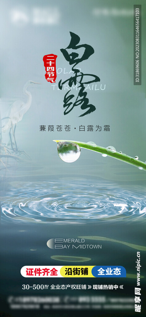 白露