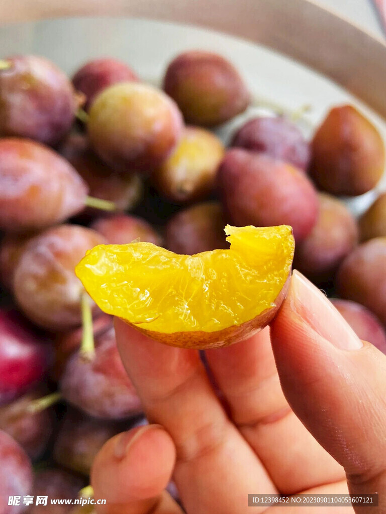 西梅