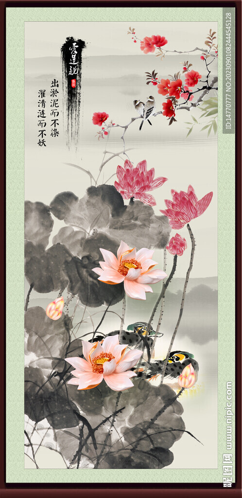 国画荷花 