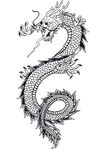 龙剪影