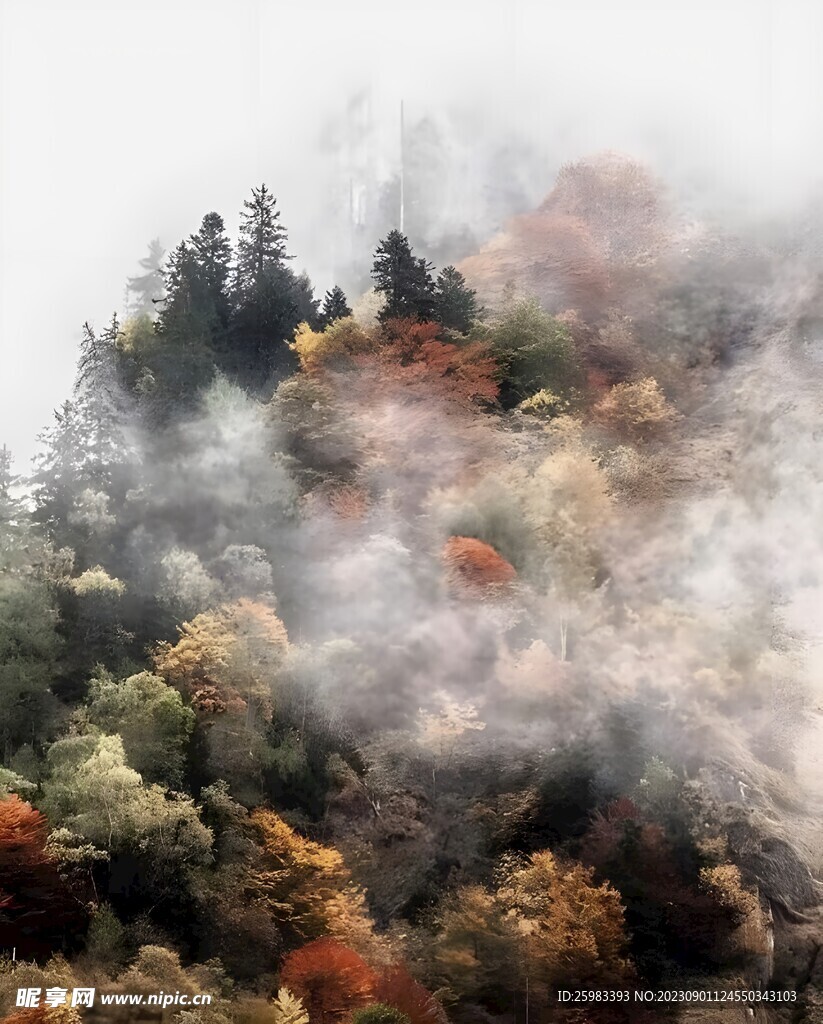 山顶云海