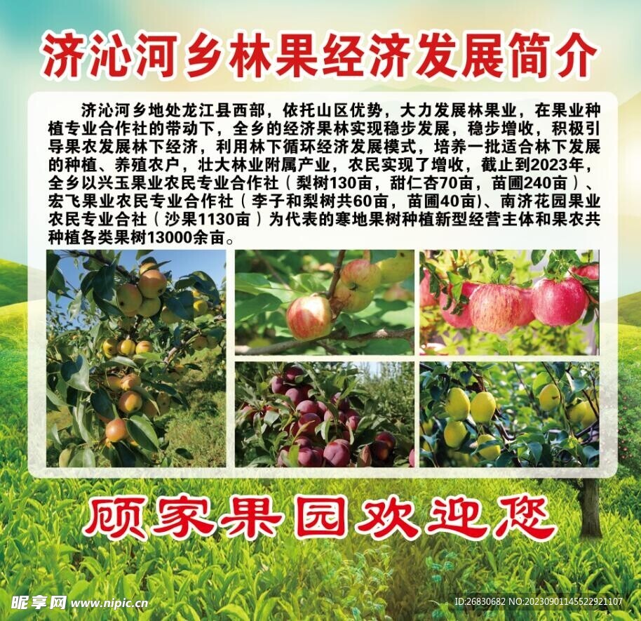 林果经济
