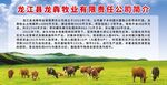 龙犇牧业