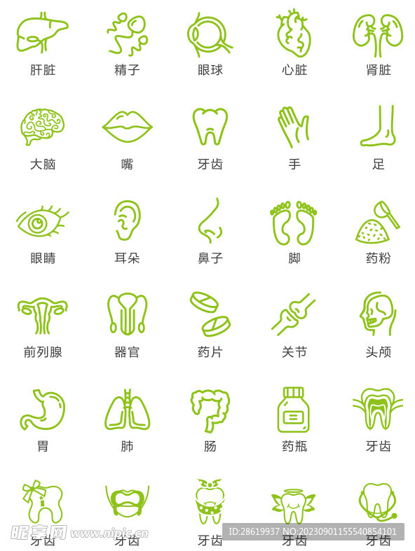 器官图标