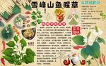 鱼腥草