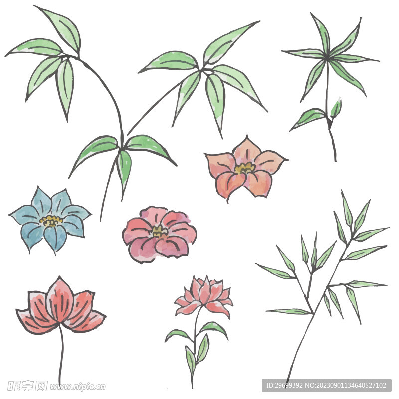 手绘花卉
