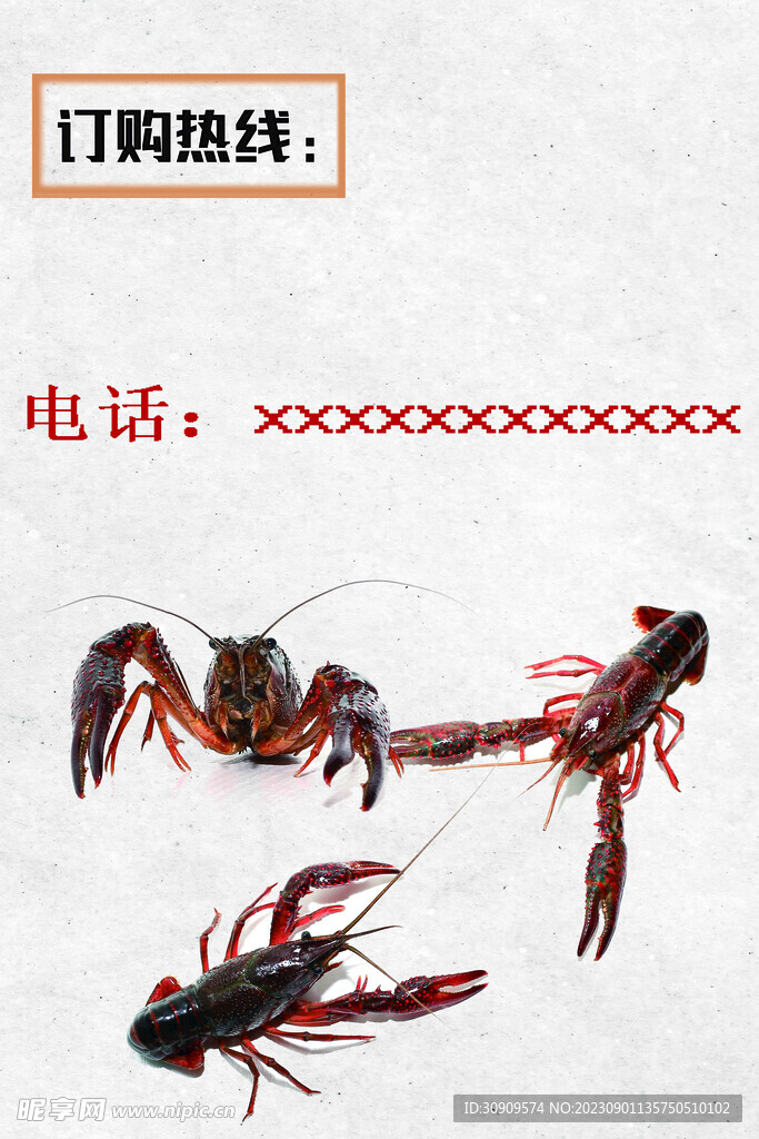 极简风格小龙虾订购销售海报养殖