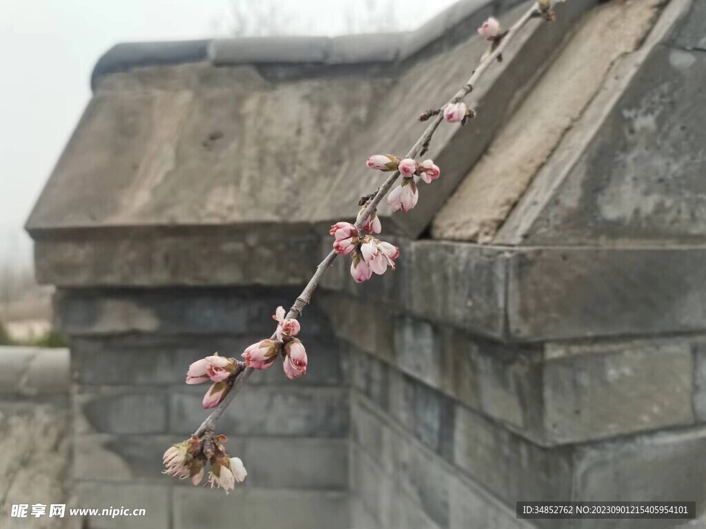 墙角