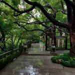 路