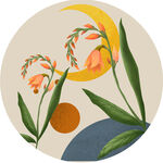 水彩花卉植物圆形挂画装饰画