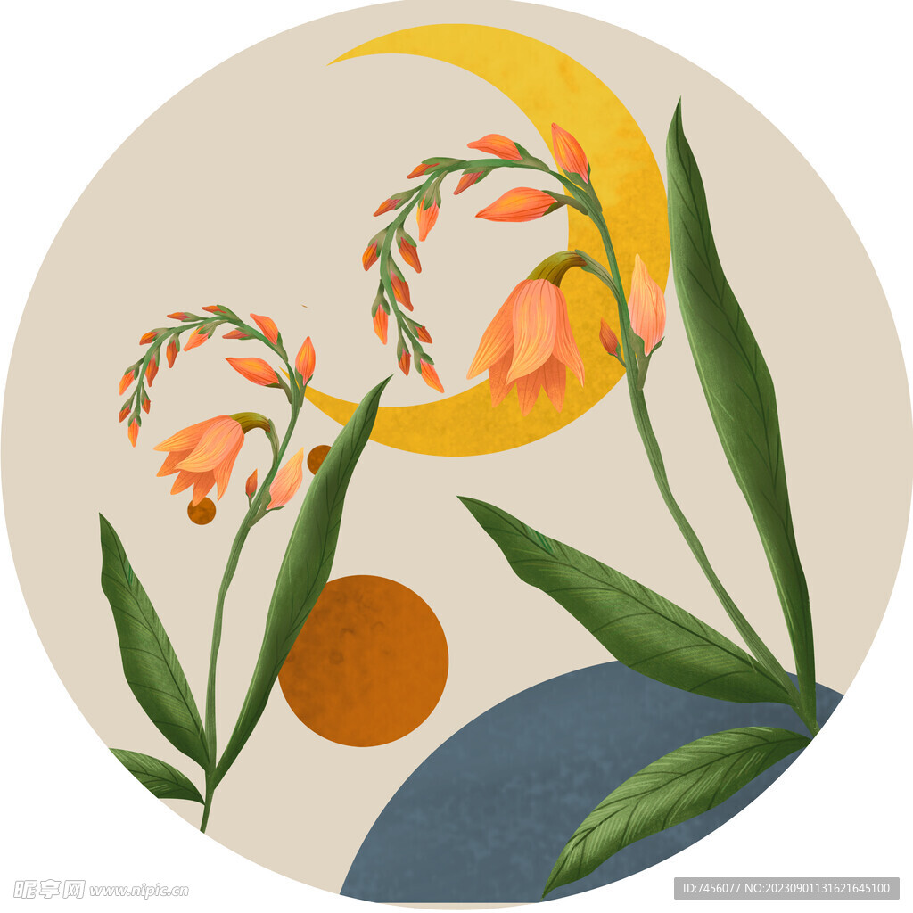 水彩花卉植物圆形挂画装饰画