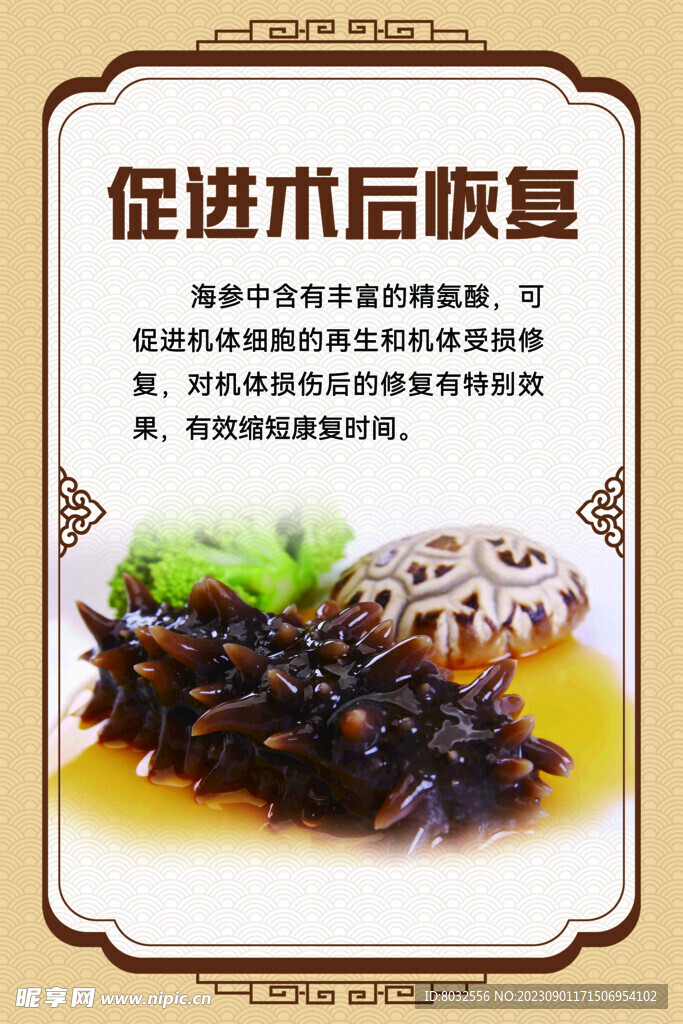 海参 