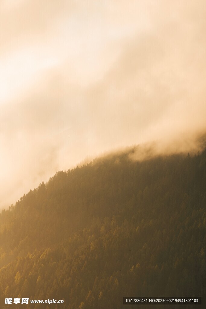山林