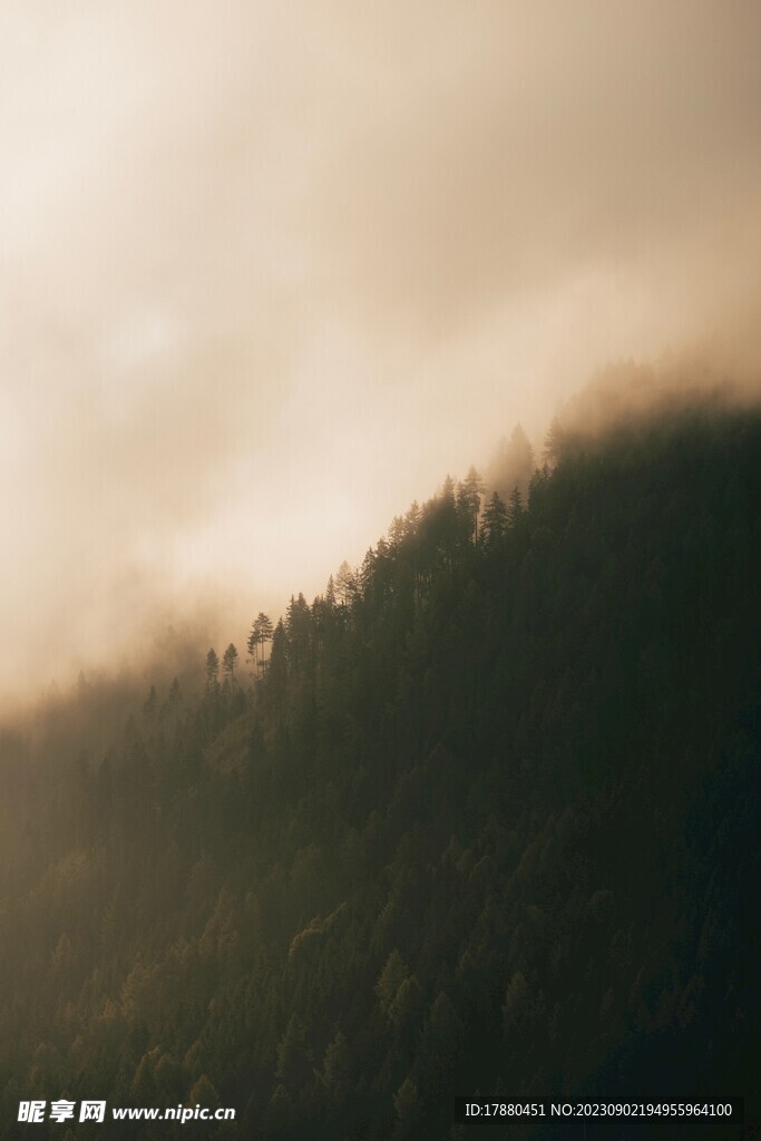 山林