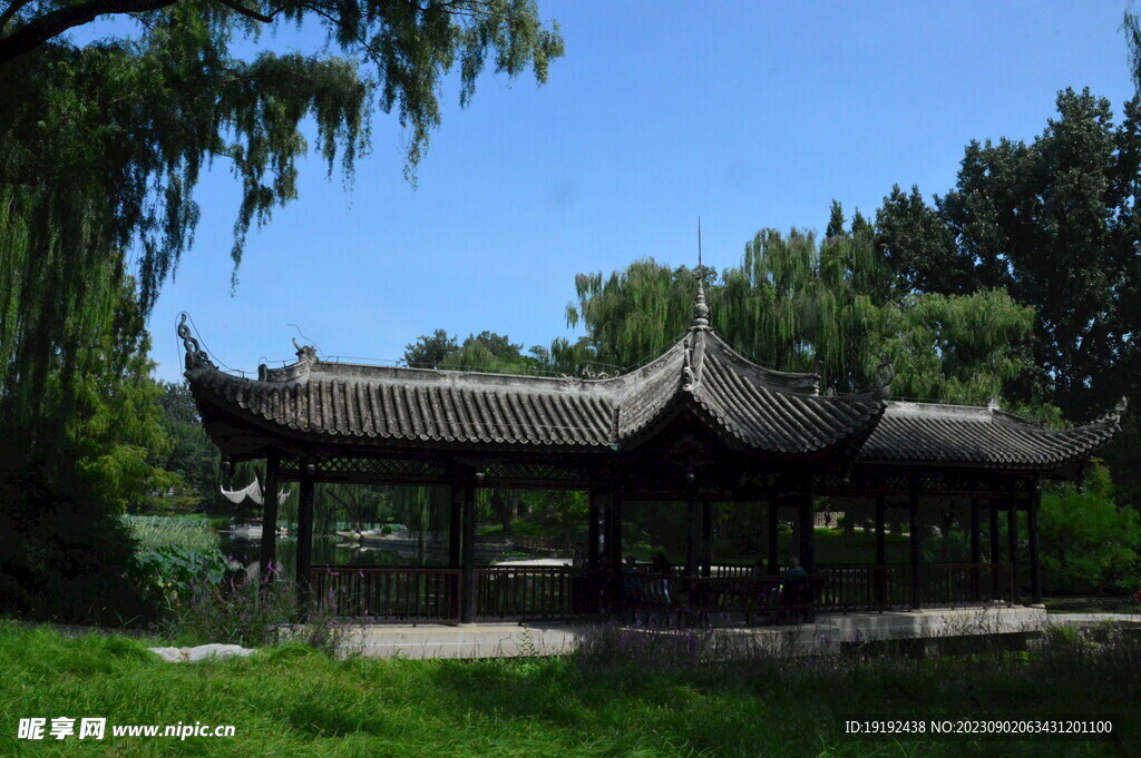 公园风景