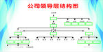 公司领导层结构图
