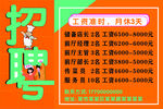 厨师招聘