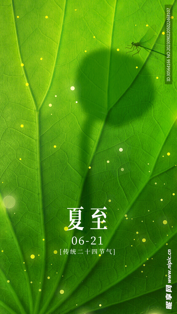 夏至