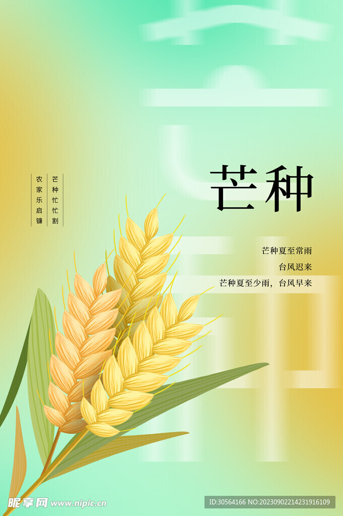 芒种