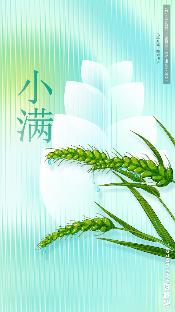 小满节气海报