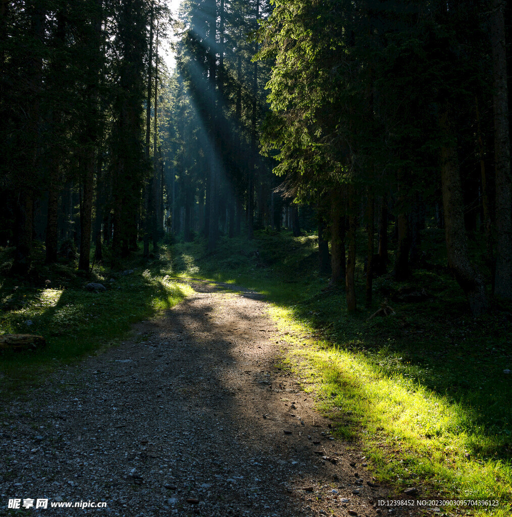 山林小路