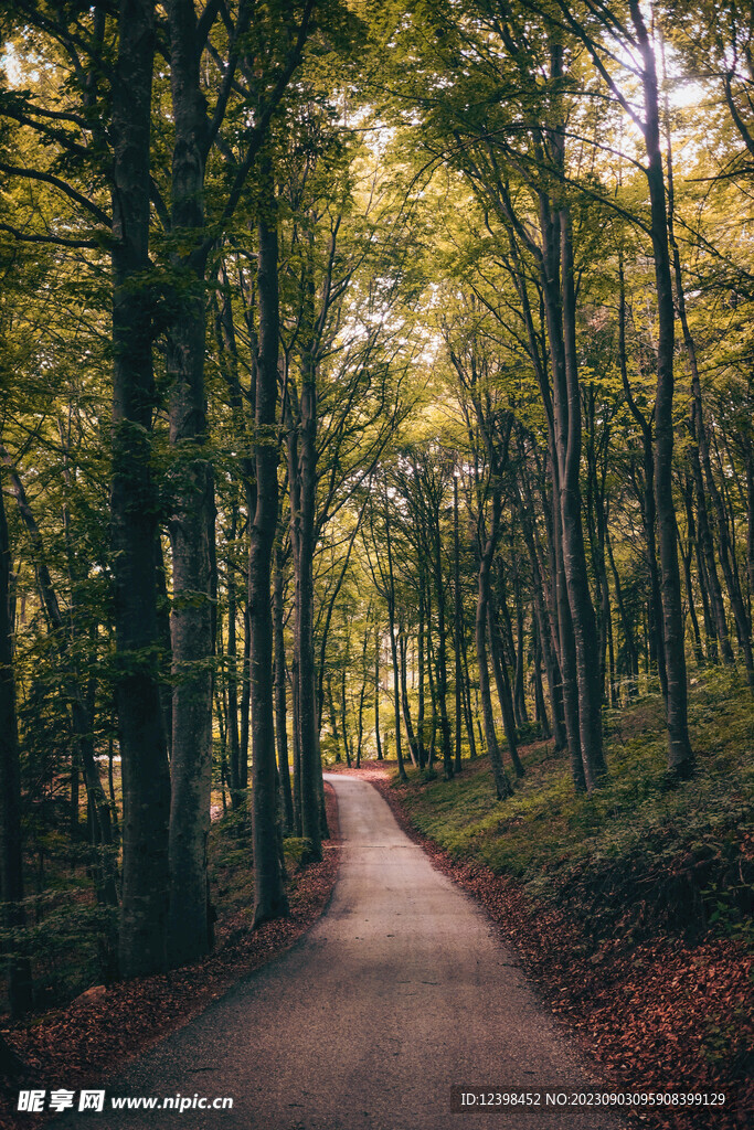 山林小路