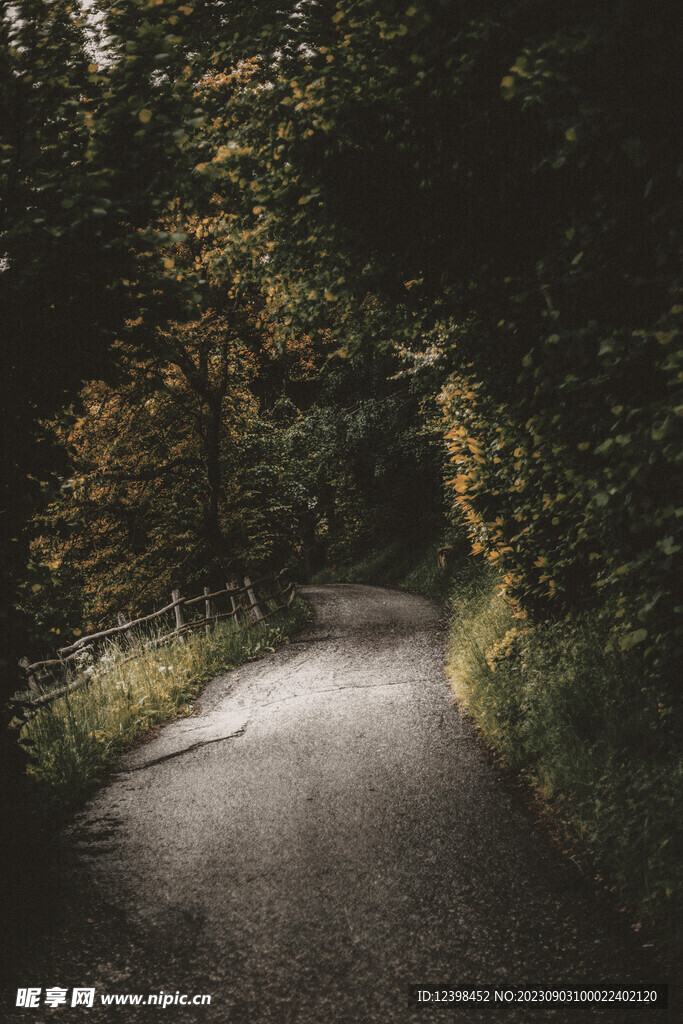 山林小路