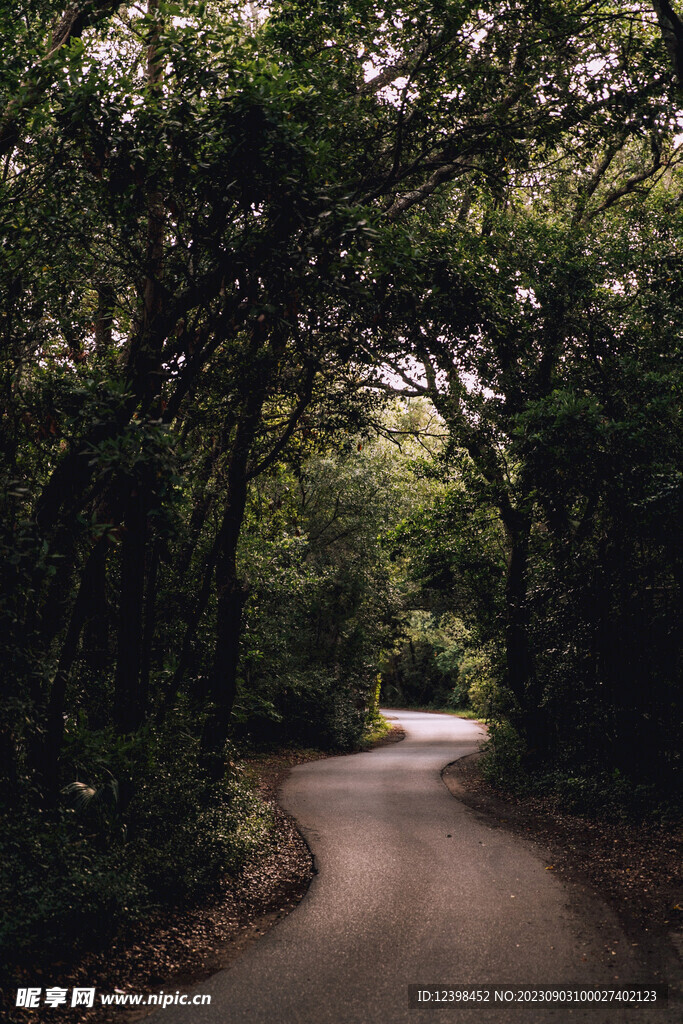 山林小路