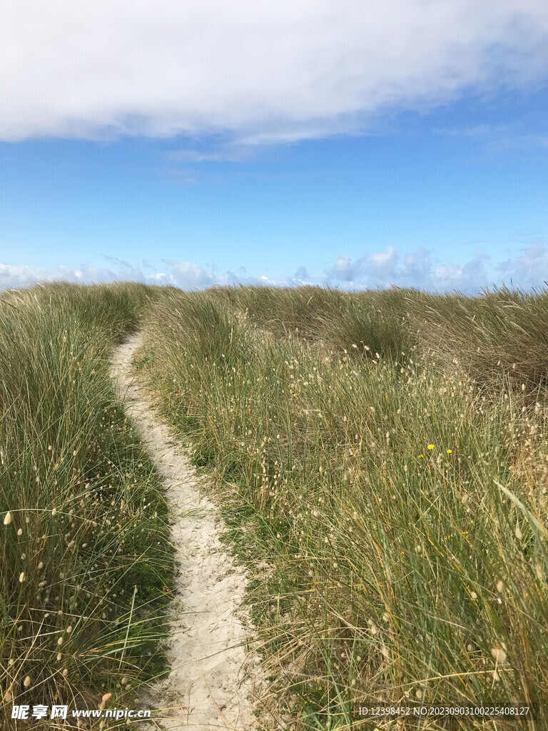 山林小路