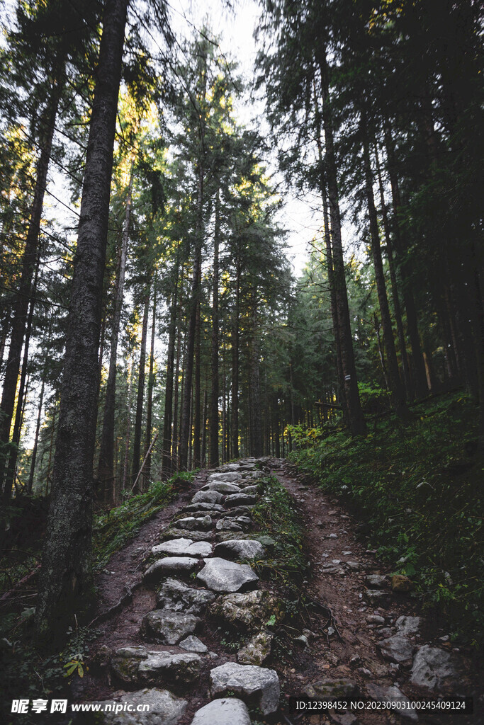 山林小路