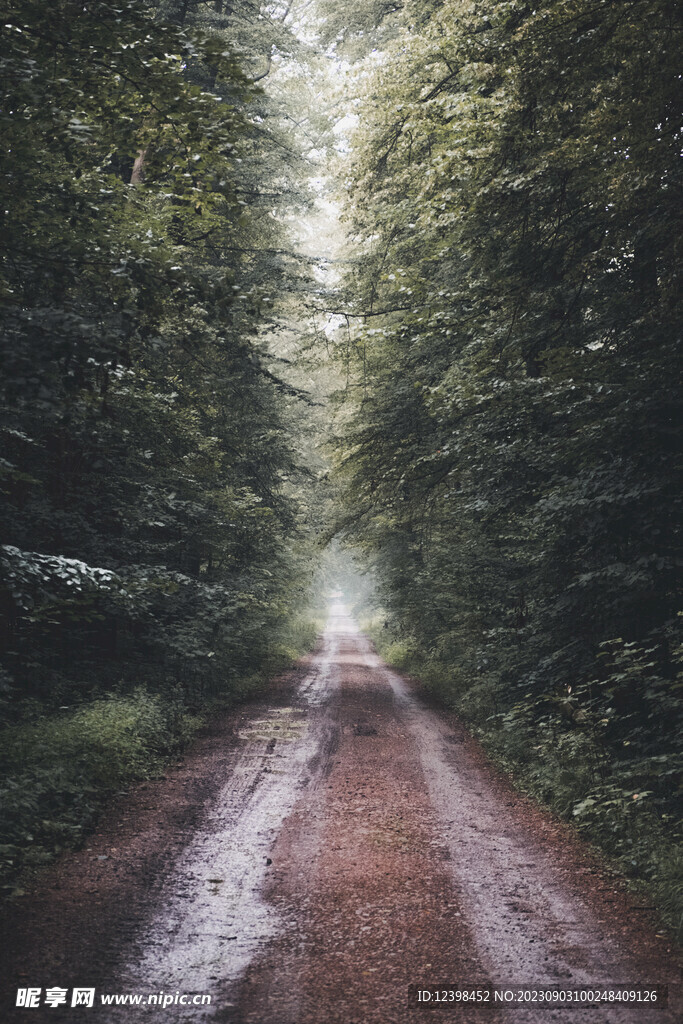 山林小路